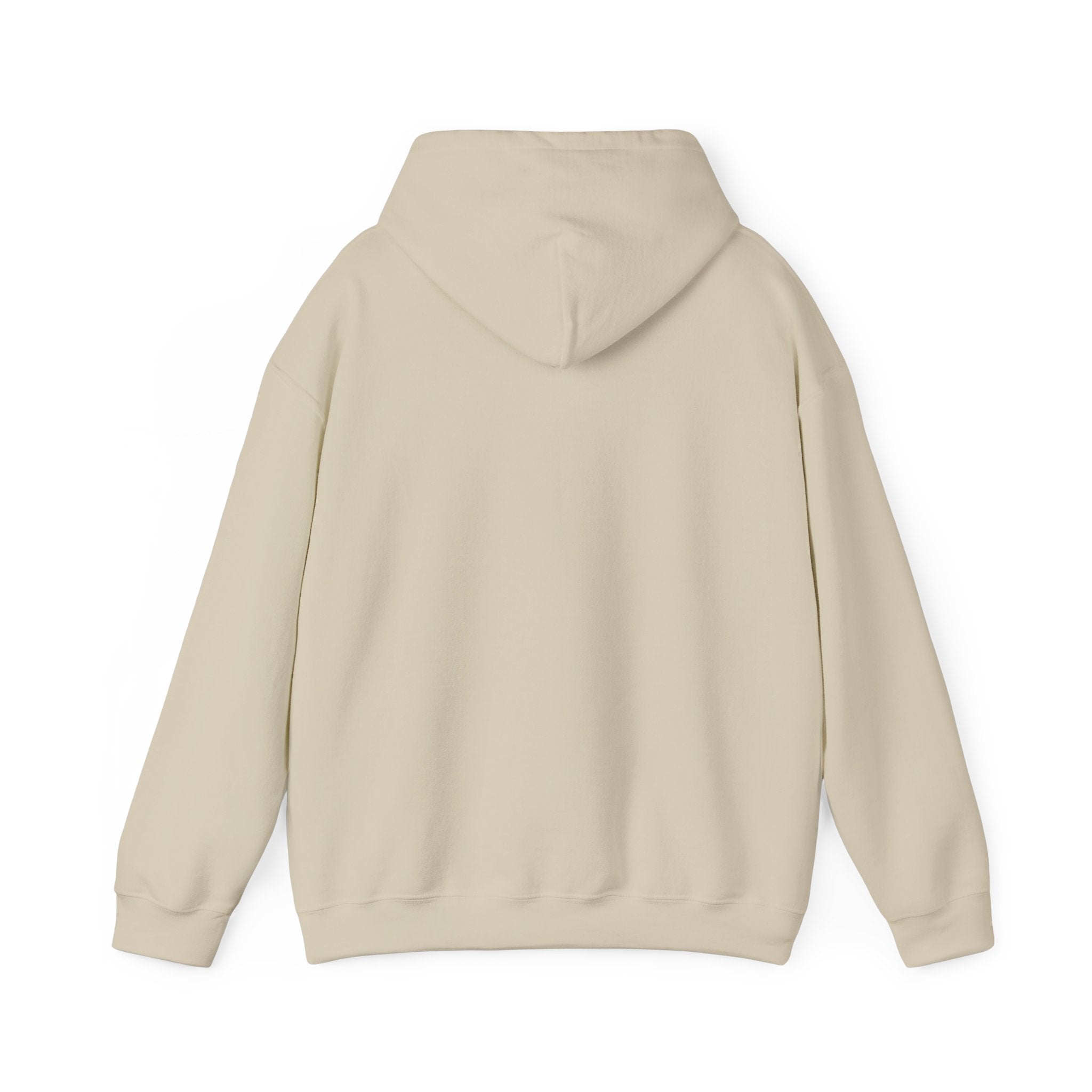Corruption Is Not Real Hoodie — Minimalist Graphic Pullover