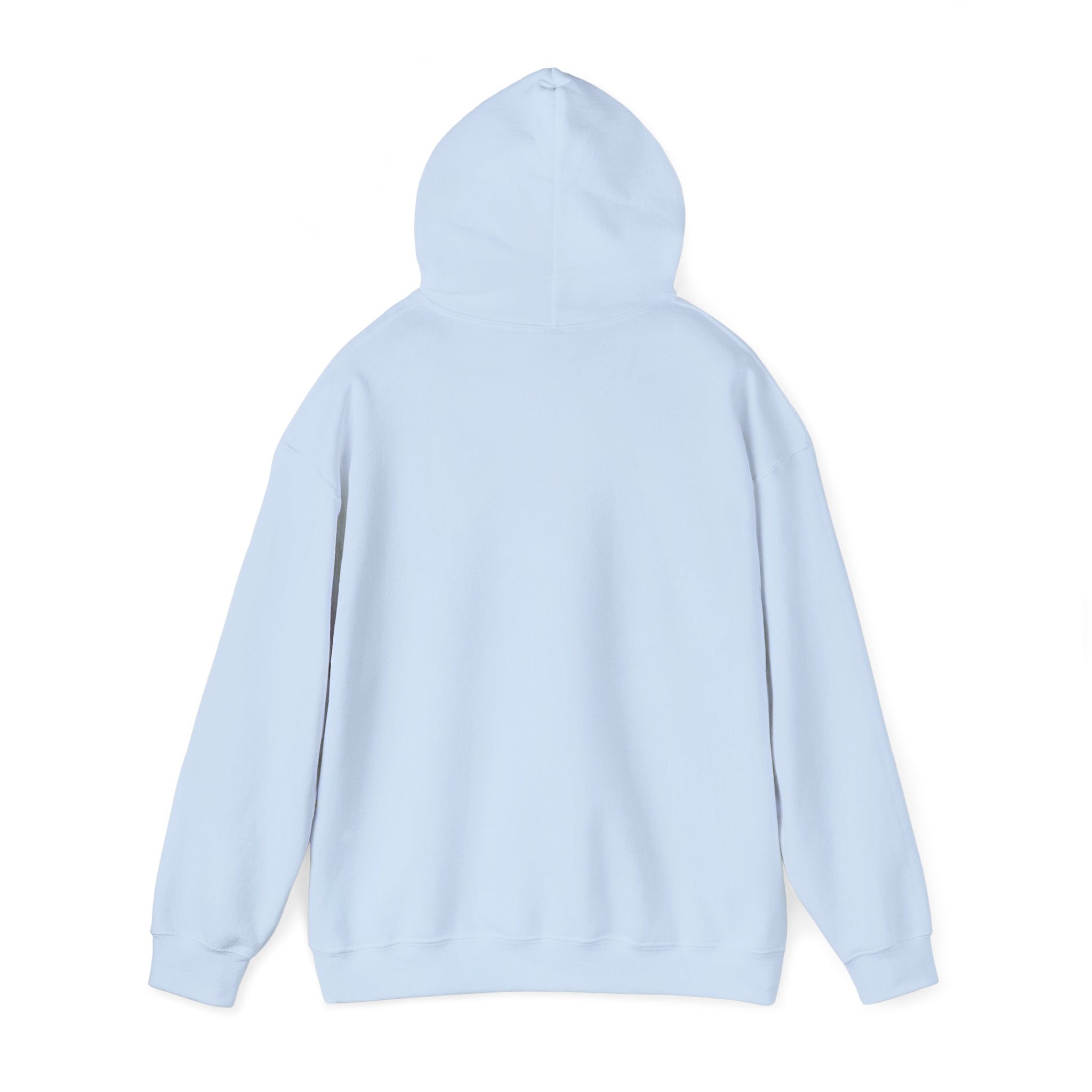 Corruption Is Not Real Hoodie — Minimalist Graphic Pullover