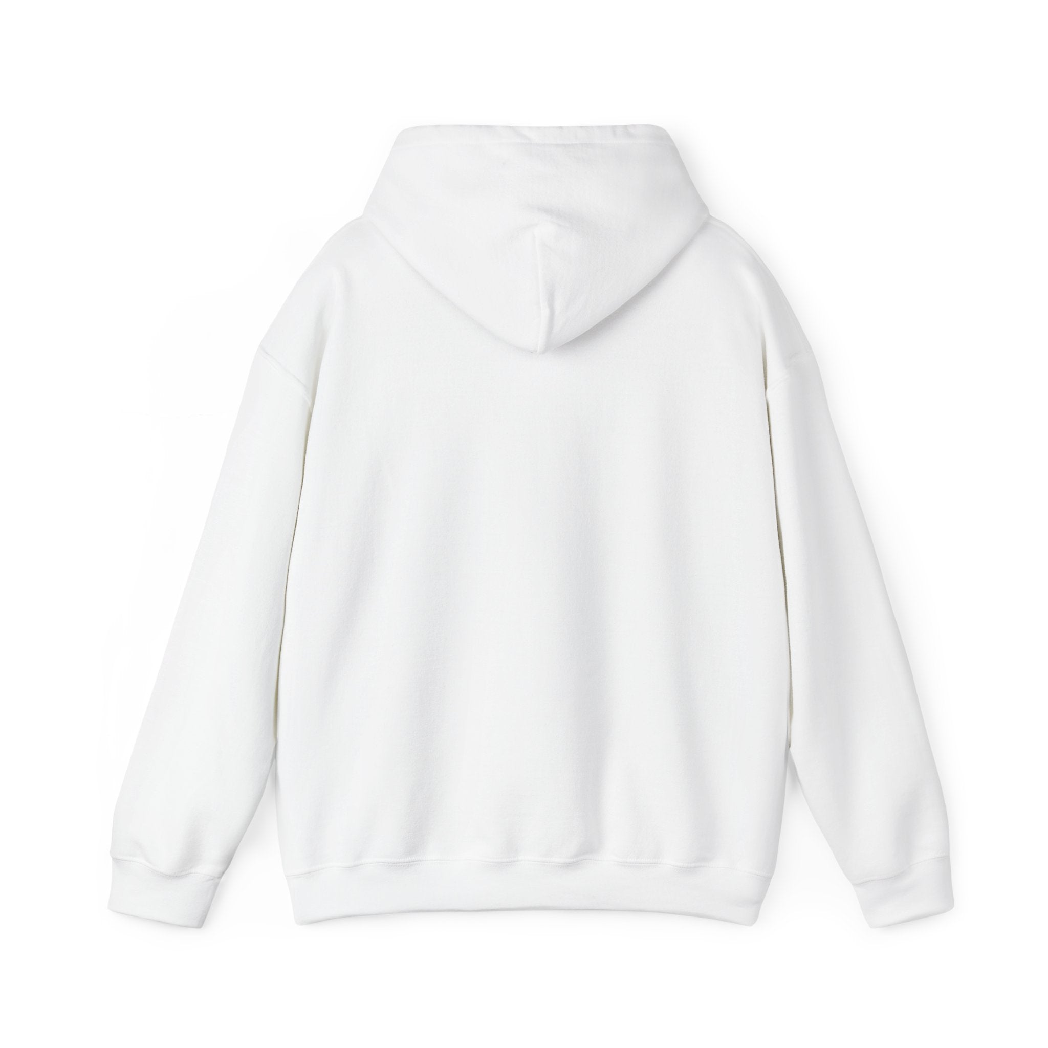 Corruption Is Not Real Hoodie — Minimalist Graphic Pullover