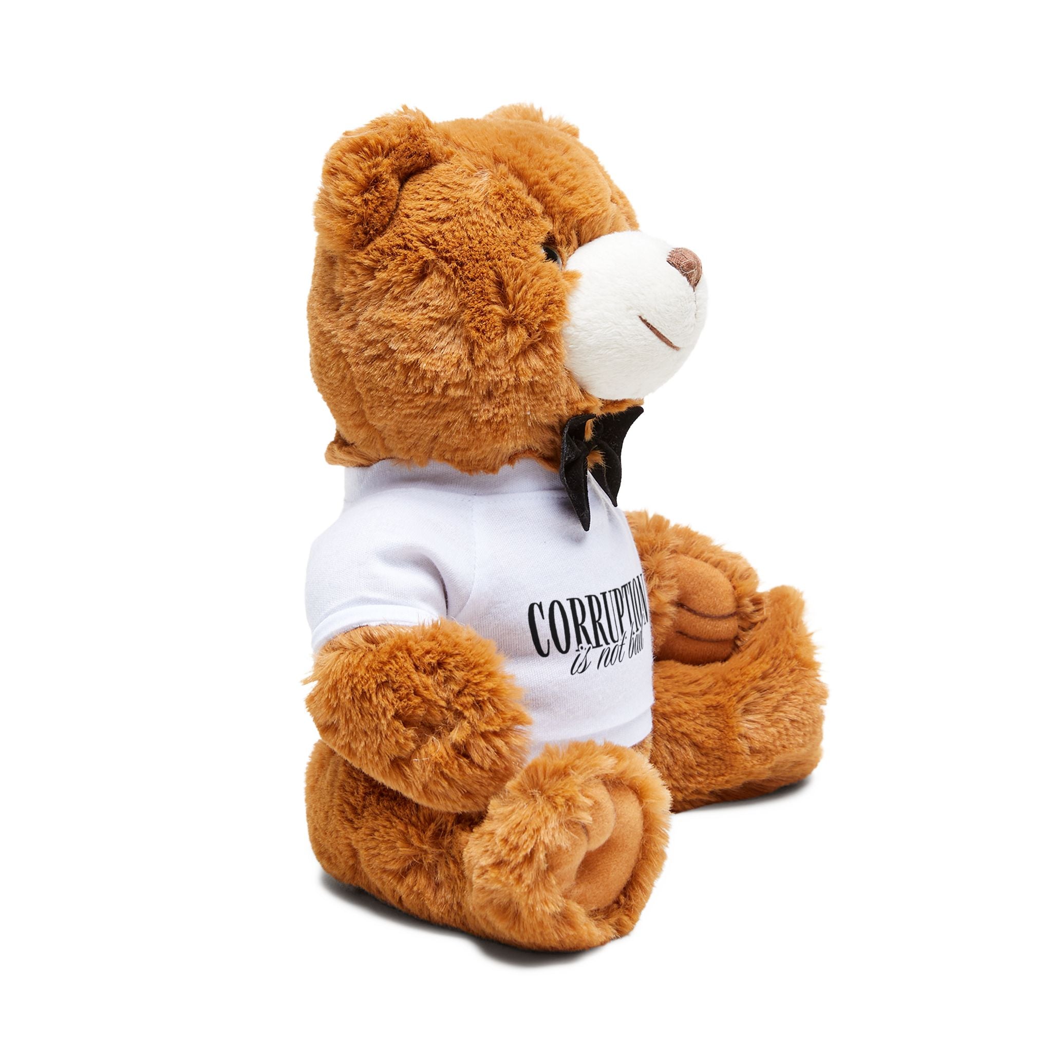 The "Legendary" Teddy - "Corruption is not bad"